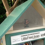 Project Update: The Little Free Library-The Grand Opening and Post-Opening